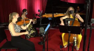 Virtual Chamber Series