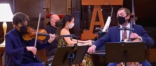 Virtual Chamber Series